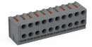 2-Leiter-Federleiste 252-310 PUSH WIRE® 10-polig 0,5...