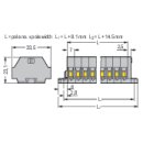 WAGO - 262-104 - 2-Leiter-Klemmenleiste