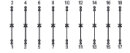 Bauteilmodul mit Diode 289-105 CAGE CLAMP 9x1N5408...