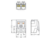 Leuchtenanschlussklemme 294-4042 2-polig Push-in CAGE...