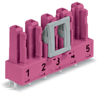 WINSTA MIDI Buchse 770-885 5-polig gerade Leiterplatte pink