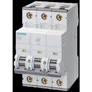 Ls-Schalter 25Ka Nach En60947-2 3P D63