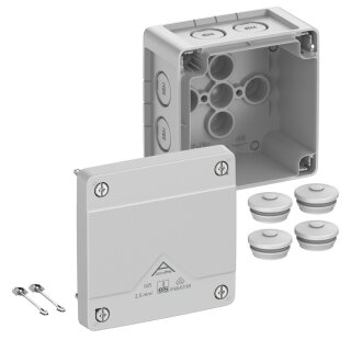 Spelsberg - 40240001 - Abox Pro 025-L Abzweigkasten
