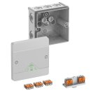 Spelsberg - 80447001 - Abox SLK-4² Abzweigkasten