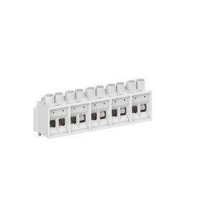 Spelsberg - 89640601 - Abox 060 KLS-6² Klemmstein