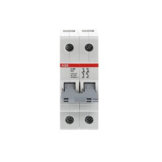 ABB - 2CDE282001R1080 - E202/80G Trennschalter 2P,80A,Schaltgriff grau