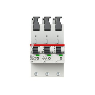 ABB - 2CDS781001R4252 - S751/3-E25 sel. Haupt-LS SHU E-Char.,25kA,25A,3x1P