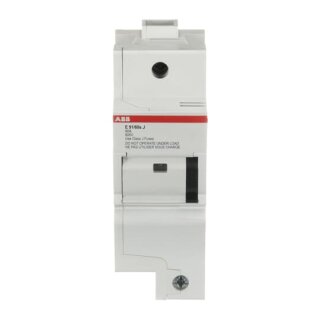 ABB - 2CSM204962R1801 - E 91/60s J Sicherungshalter 60A In, 1 Pol
