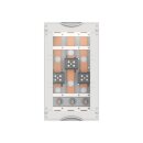 ABB STRIEBEL & JOHN - 2CPX042102R9999 - MBW250A...