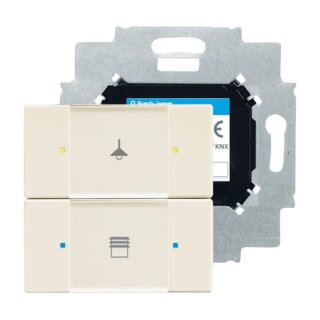 Busch-Jaeger - 2CKA006116A0171 - Bedienelement, 2-fach mit beiliegendem Busankoppler