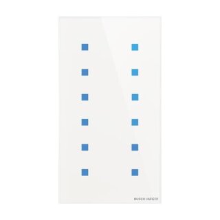 Busch-Jaeger - 2CKA006300A1563 - Touch-Bedienelement, 12-fach Konfigurierbares Gerät
