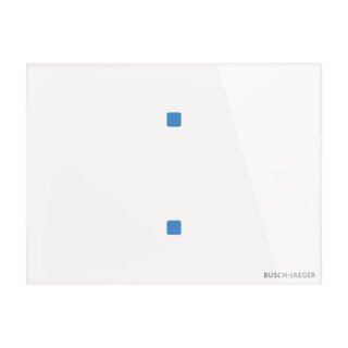 Busch-Jaeger - 2CKA006300A1615 - Touch-Bedienelement, 2-fach Konfigurierbares Gerät