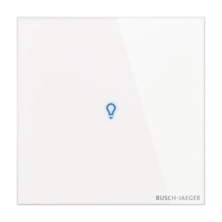 Busch-Jaeger - 2CKA006300A1641 - Bedienelement 1f. Konfigurierbares Gerät