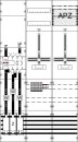 ABB STRIEBEL & JOHN - 2CPX056028R9999 - WF39KW16 M+W...