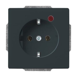 Busch-Jaeger - 2CKA002011A3830 - Busch-Protector® SCHUKO® Steckdosen-Einsatz mit Überspannungsschutz