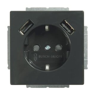 Busch-Jaeger - 2CKA002011A6267 - 20 EUCB2USB-81 SCHUKO® 2x USB-Steckdose