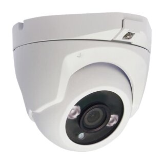 Busch-Jaeger - 2CKA008300A0490 - Mini Dome-Kamera Externe analoge Kamera für die Türsprechanlage