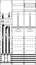 ABB STRIEBEL & JOHN - 2CPX034036R9999 - KA4317 M+W...