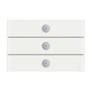 Busch-Jaeger - 2CKA006310A0171 - Bedienelement 3-fach...