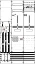 ABB STRIEBEL & JOHN - 2CPX056141R9999 - WF39KK43 9RE...