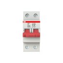 ABB - 2CDE282001R1040 - E202/40G Trennschalter 2P,40A,Schaltgriff grau