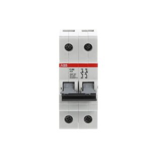 ABB - 2CDE282001R1045 - E202/45G Trennschalter 2P,45A,Schaltgriff grau