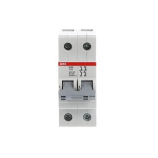 ABB - 2CDE282001R1100 - E202/100G Trennschalter 2P,100A,Schaltgriff grau