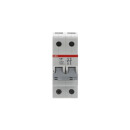 ABB - 2CDE282001R1125 - E202/125G Trennschalter 2P,125A,Schaltgriff grau
