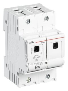 AEG - 2CDE102005R1905 - LD022+ - Sich.-Lasttrennschalter D02 2 polig , 63A  Alt-GE: