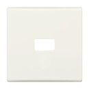 Busch-Jaeger - 2CKA001731A1817 - Wippe offen für Symbol