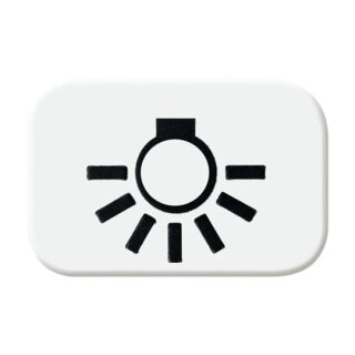 Busch-Jaeger - 2CKA001433A0028 - Tastersymbol Licht