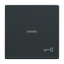 Busch-Jaeger - 2CKA001751A2933 - Wippe mit Aufdruck mit...