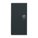 Busch-Jaeger - 2CKA006220A0056 - Wippe 2-fach links, mit...