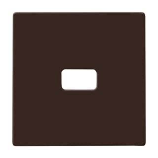 Busch-Jaeger - 2CKA001731A1968 - Wippe offen für Symbol