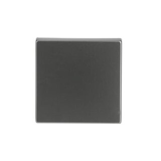 Busch-Jaeger - 2CKA001751A2956 - Wippe geschlossen, für Schaltereinsatz