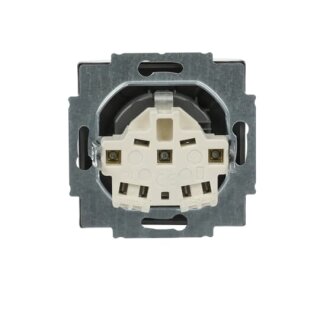 Busch-Jaeger - 2CKA002011A3850 - SCHUKO® Steckdosen-Einsatz