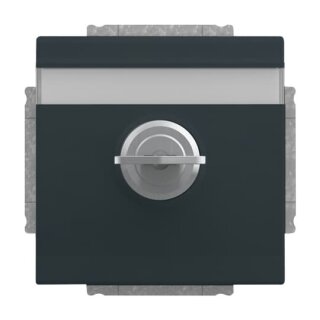 Busch-Jaeger - 2CKA002018A1558 - SCHUKO® Steckdosen-Einsatz mit Klappdeckel und Schloss