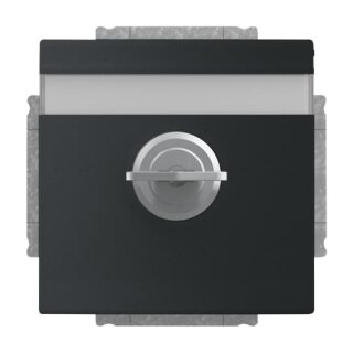 Busch-Jaeger - 2CKA002018A1567 - SCHUKO® Steckdosen-Einsatz mit Klappdeckel und Schloss