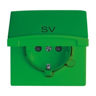 Busch-Jaeger - 2CKA002064A0311 - SCHUKO® Steckdosen-Einsatz mit Klappdeckel und Aufdruck