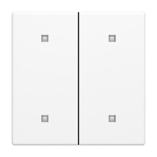 Busch-Jaeger - 2CKA001751A3271 - 2570-20-884 Wippe 2-fach Elekroniktaster