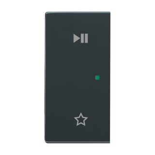 Busch-Jaeger - 2CKA006220A0733 - Wippe 2-fach links, mit Symbol "Play/Pause"