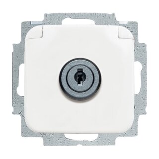 Busch-Jaeger - 2CKA002018A1289 - SCHUKO® Steckdosen-Einsatz mit Klappdeckel und Schloss  Reflex SI/SI Linear