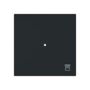 Busch-Jaeger - 2CKA006220A0939 - Wippe Symbol...