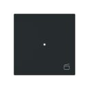 Busch-Jaeger - 2CKA006220A0943 - Wippe 1-fach, mit Symbol...
