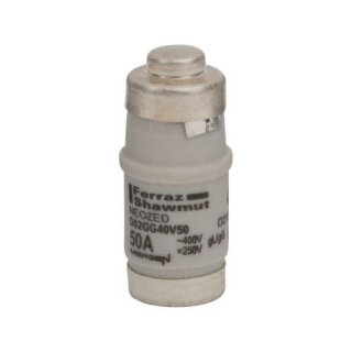 LINDNER - D215191 - D02GG40V50 NEOZED-SICHERUNG D02/50A