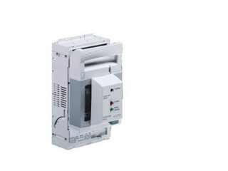RITTAL - 9344030 - SV 9344.030 NH-Trenner Gr.00, 160A, 500V
