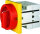 ELEKTRA - 134369 - S1 011/HS-F3-D-RG HAUPT-NOT-AUS-SCHALTER
