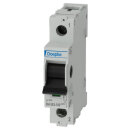 DOEPKE - 09981060 - RH 063-100 Hauptschalter