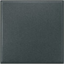 LEGRAND - HS4951 - HS4951 Blindabdeckung 2-modulig Anthrazi