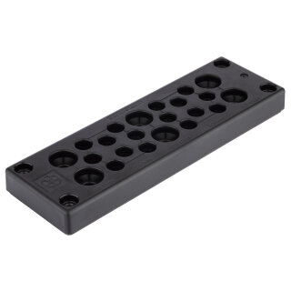 Lapp Mehrfacheinführung SKINTOP® MULTI VERSION 1 (52220065)